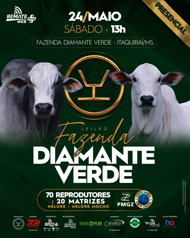 Leilão Fazenda Diamante Verde