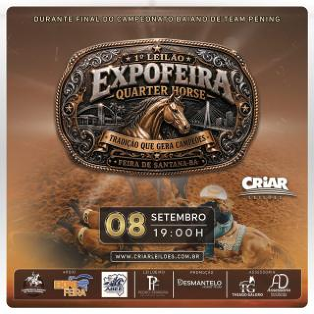 Leilão Expo Feira