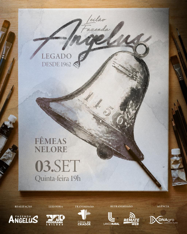 Leilão Fazenda Angelus