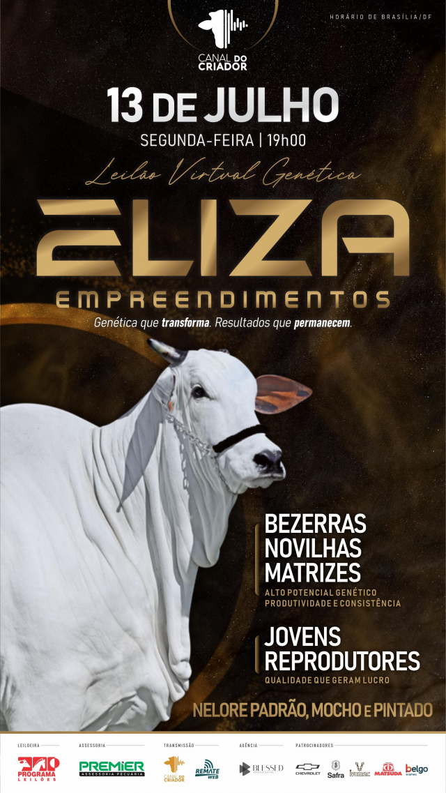 Leilão Virtual Nelore Eliza Empreendimentos