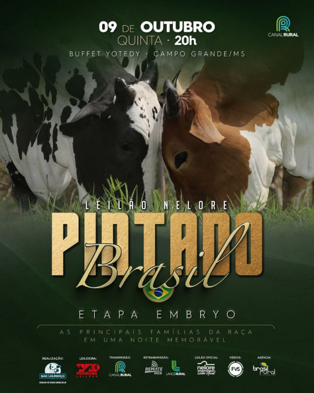 Leilão Nelore Pintado Brasil - Embryo