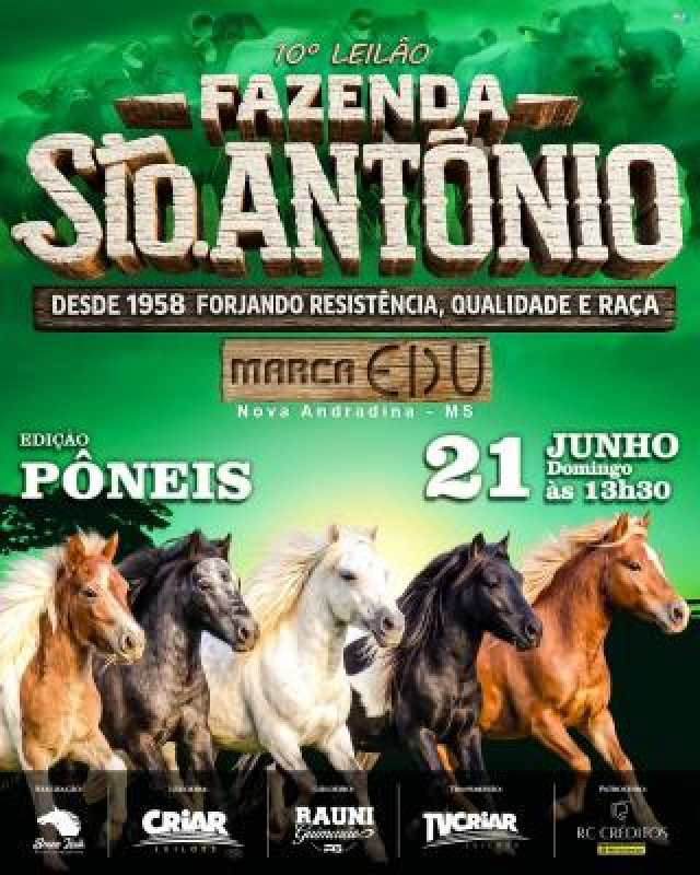 10º Leilão Fazenda Santo Antonio - Pôneis