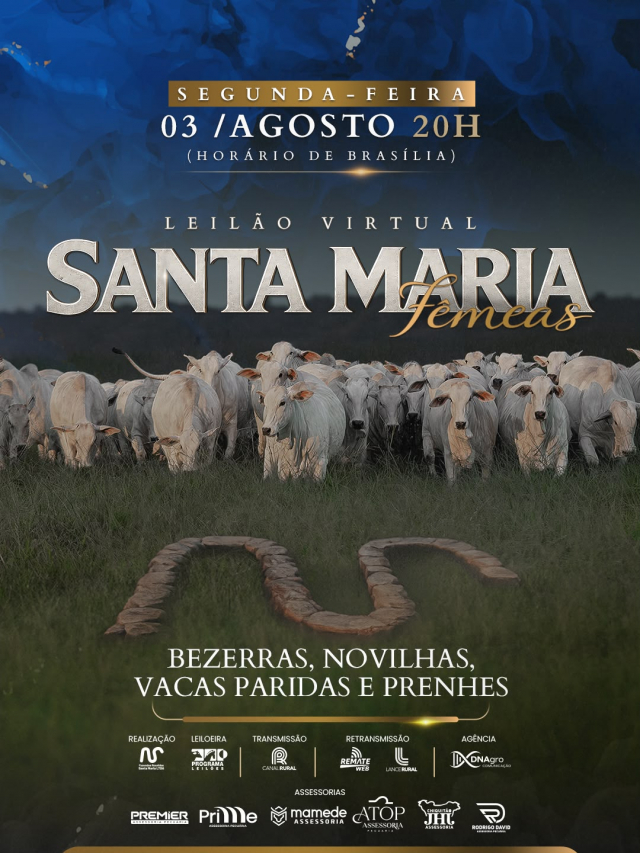 Leilão Virtual Santa Maria - Fêmeas