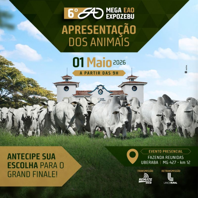 LIVE Apresentação dos animais - 6º Mega EAO Expozebu