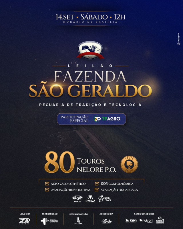 Leilão Fazenda São Geraldo