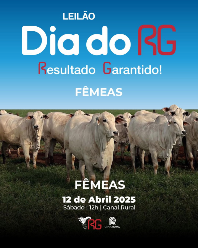 Leilão Virtual Dia do RG - Fêmeas