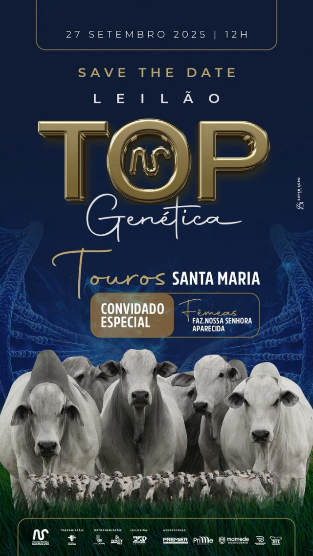 Leilão Virtual Top Genética - Touros Santa Maria