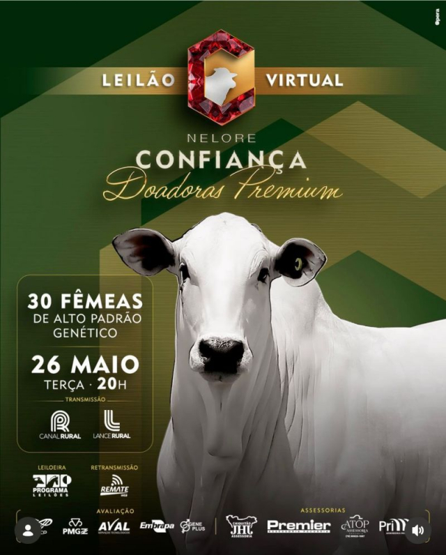 Leilão Virtual Nelore Confiança - Doadoras Premium