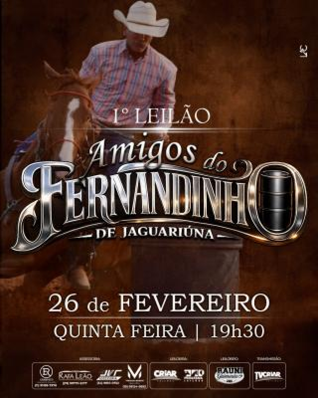 1° Leilão Virtual Amigos do Fernandinho