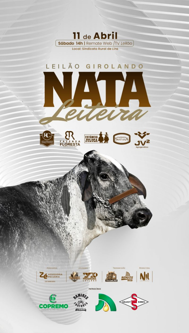 Leilão Virtual Girolando Nata Leiteira