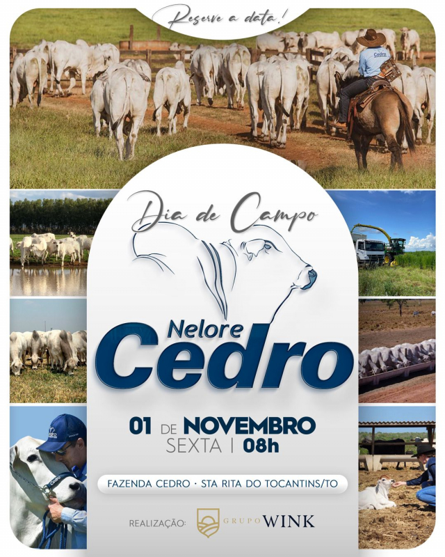 Dia de Campo - Nelore Cedro