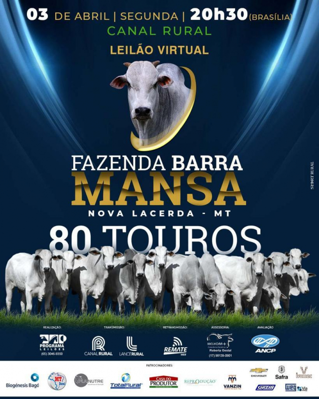 Leilão Virtual Fazenda Barra Mansa
