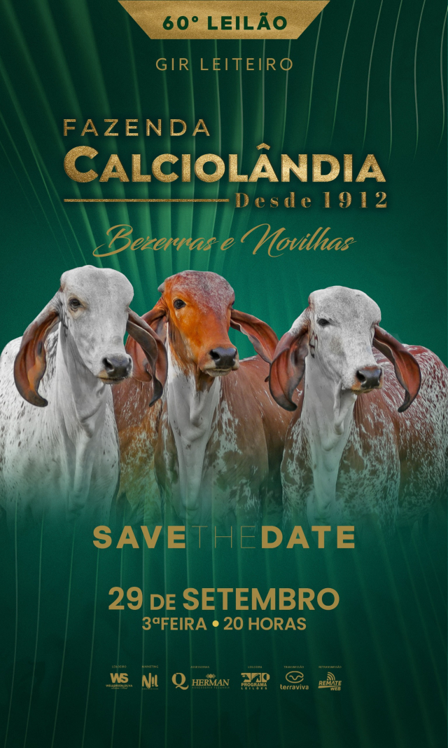 60° Leilão Gir Fazenda Calciolândia