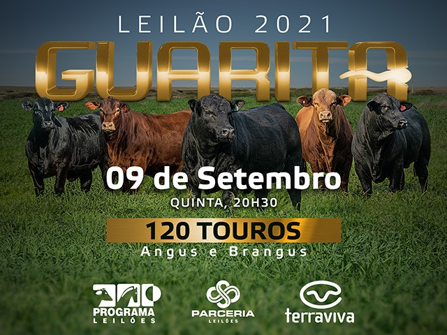 Leilão 2021 Guarita - Touros