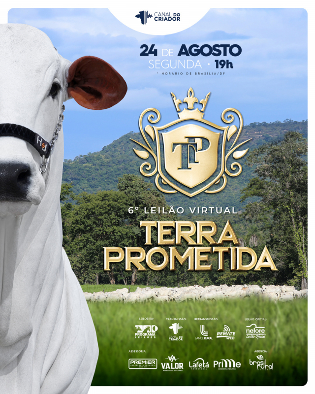 6º Leilão VIrtual Terra Prometida
