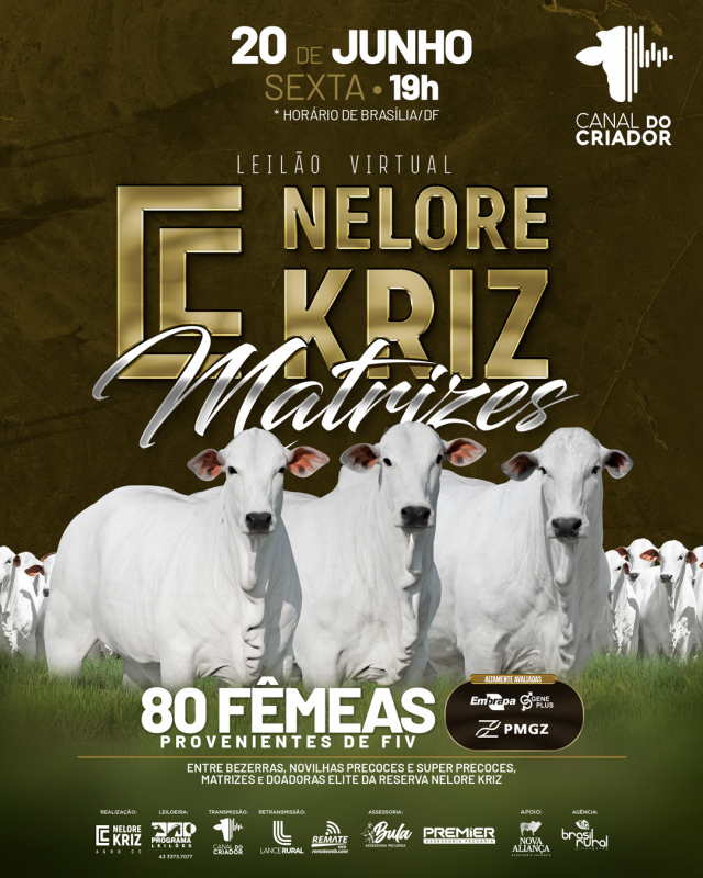 Leilão Virtual Nelore Kriz - Matrizes