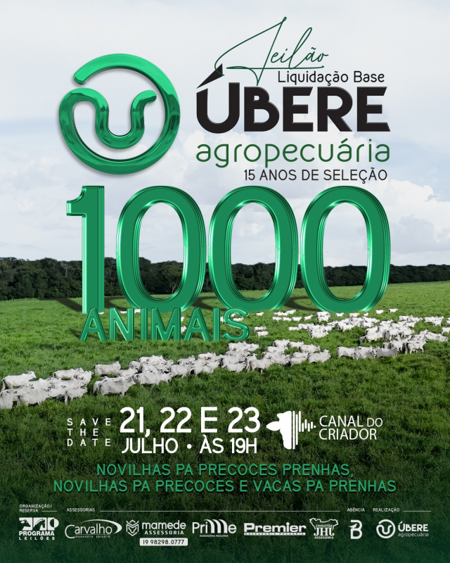 Leilão Virtual Liquidação Base Ubere Agropecuária - 1ª etapa