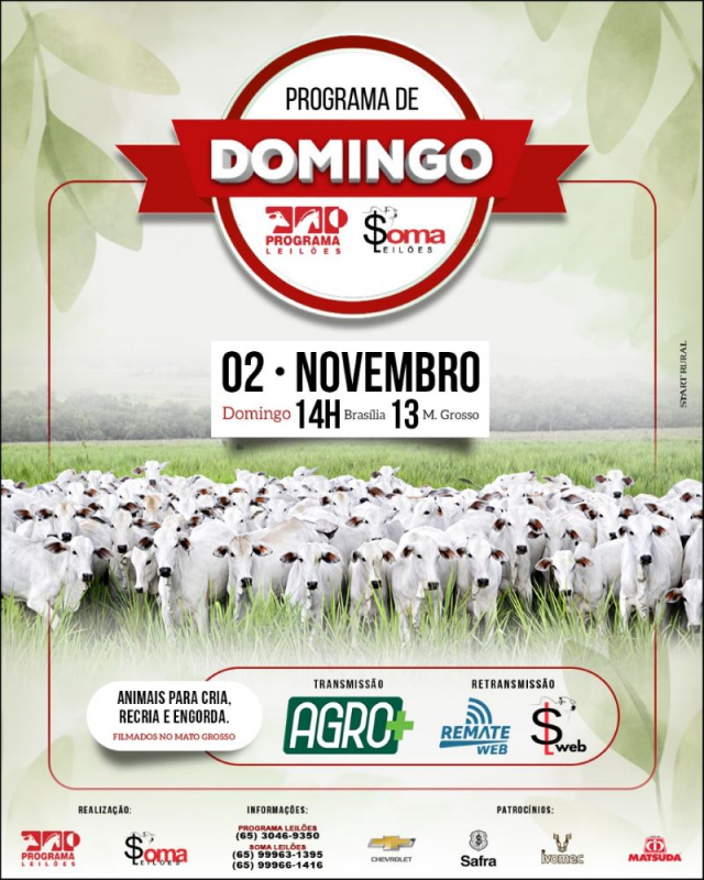 132º Programa de Domingo - Programa e Soma Leilões