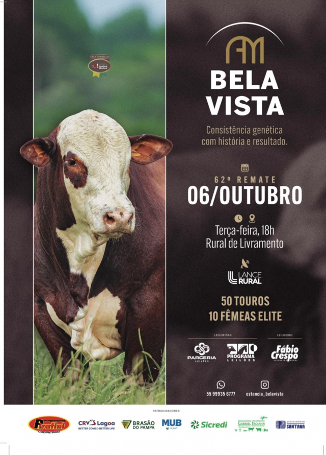 Leilão Estância Bela Vista