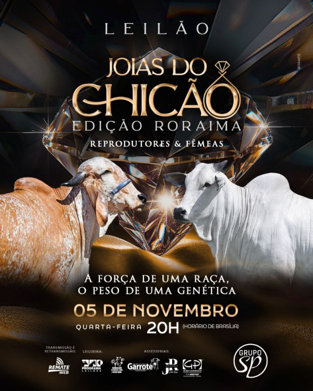 Leilão Jóias do Chicão - Edição Roraima