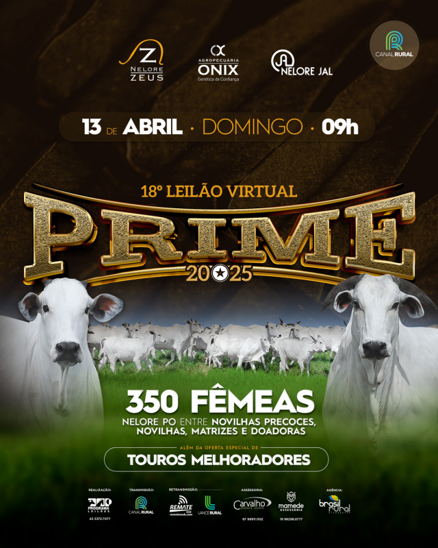 18º Leilão Virtual Prime 2025
