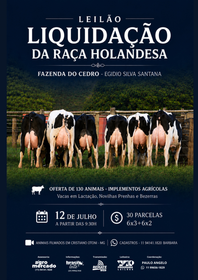 Leilão Liquidação Holandês Fazenda Cedro