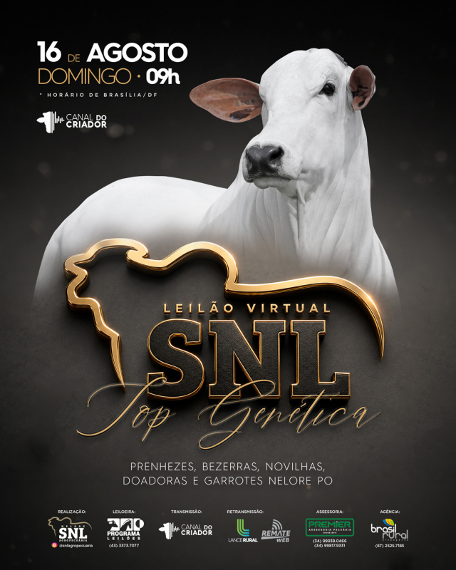 Leilão Virtual SNL Top Genética