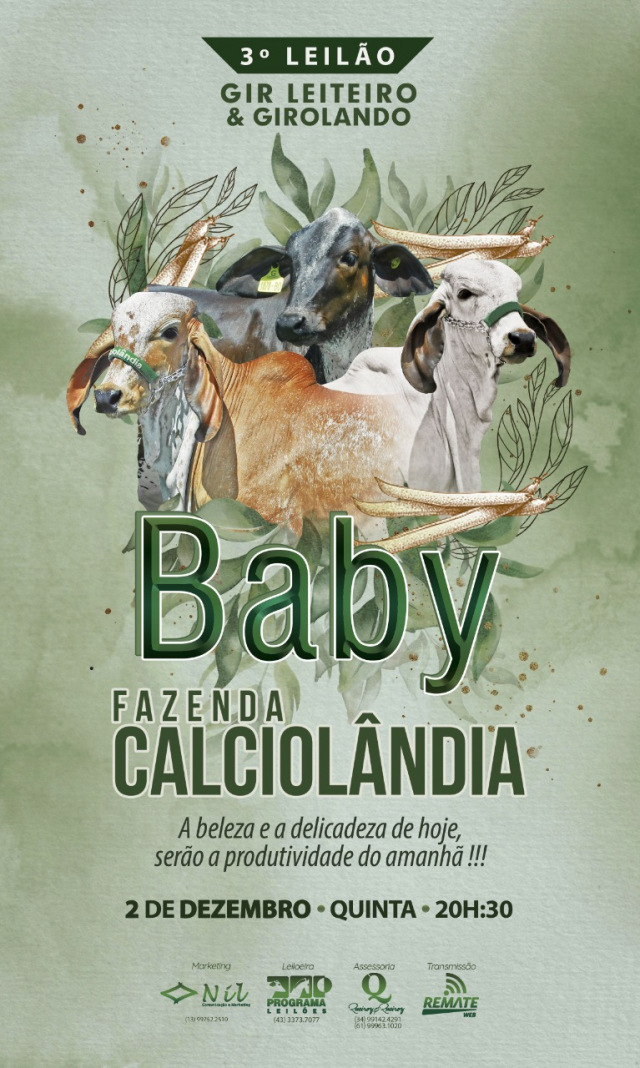 3° Leilão Gir Leiteiro & Girolando Baby Fazenda Calciolândia