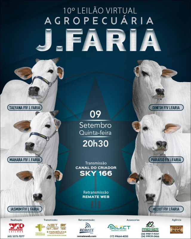 10° Leilão Virtual  Agropecuária J. Faria