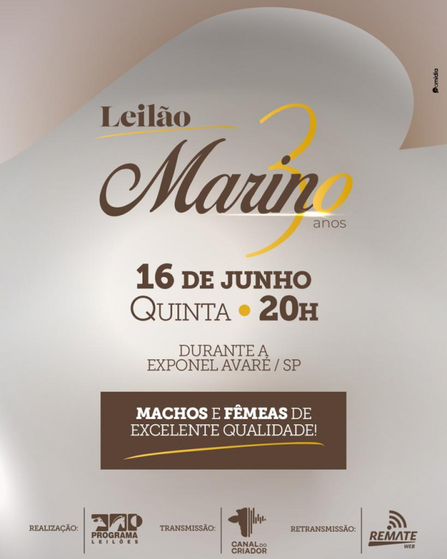 Leilão Marino 30 Anos
