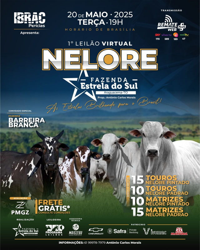 1º Leilão Virtual Estrela do Sul