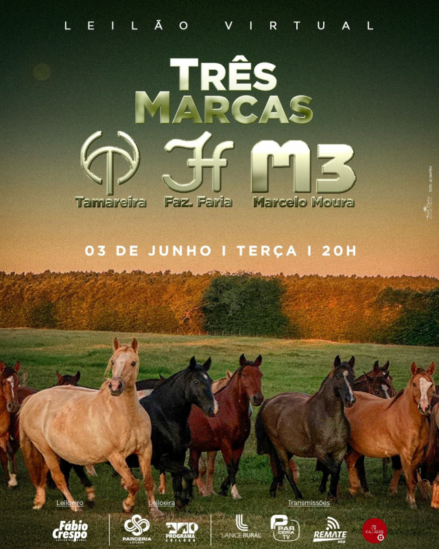 Leilão Virtual Três Marcas