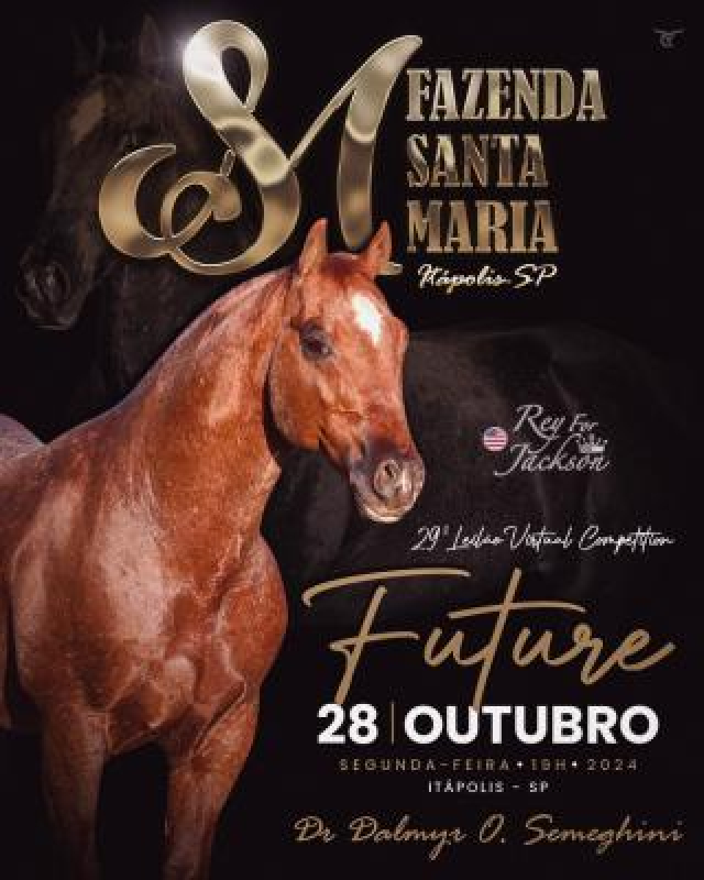 29º Leilão Future Competition - Fazenda Santa Maria