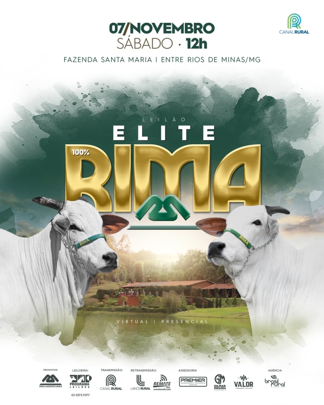 Leilão Elite Rima 100%