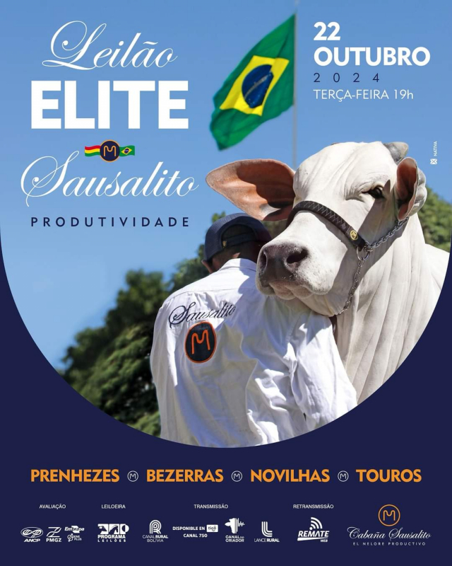 Leilão Elite Sausalito Produtividade