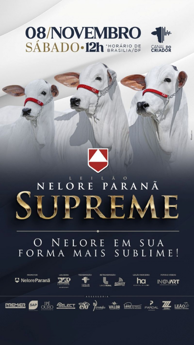 Leilão Virtual Nelore Paranã - Supreme