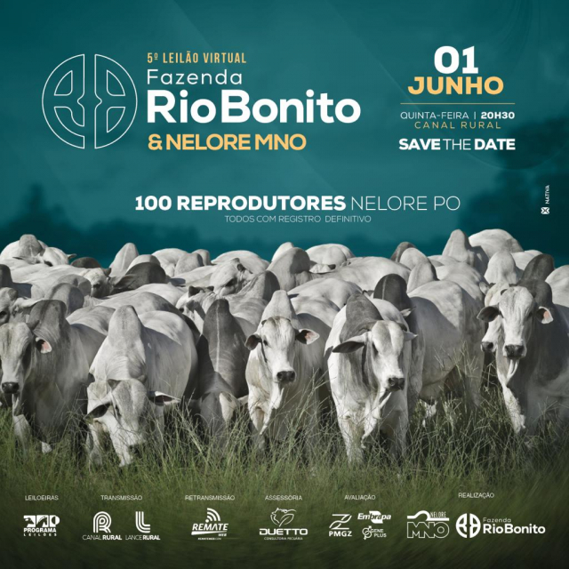 5° Leilão Virtual Fazenda Rio Bonito & Nelore MNO