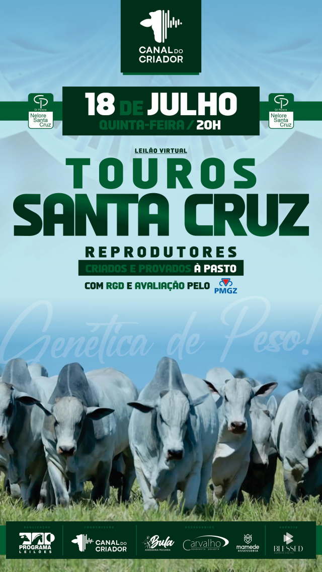 Leilão Virtual Touros Santa Cruz