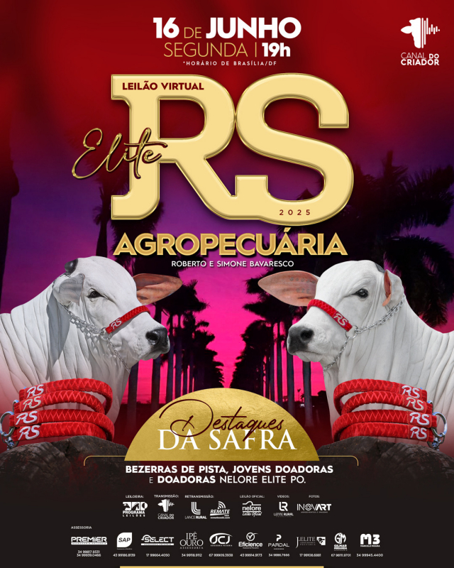 Leilão Virtual Nelore RS Agropecuária - Elite