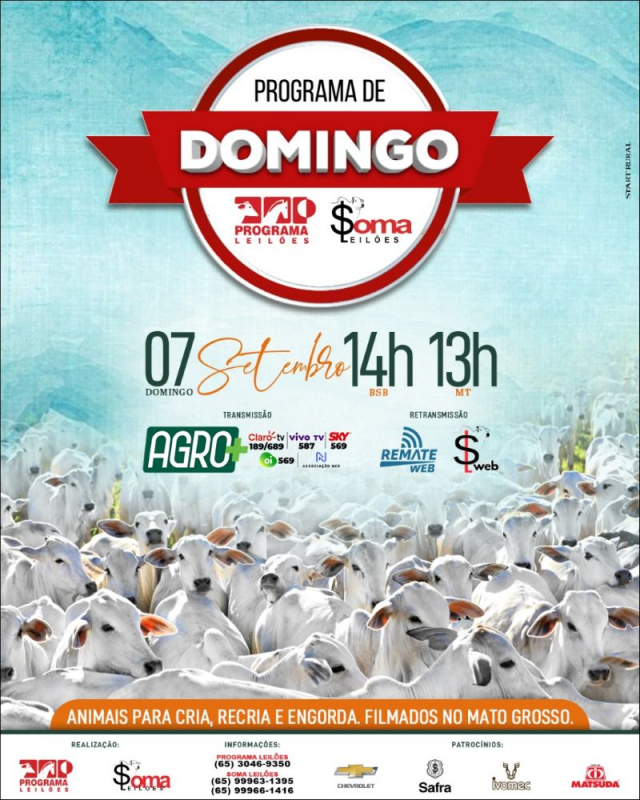 124º Programa de Domingo - Programa e Soma Leilões