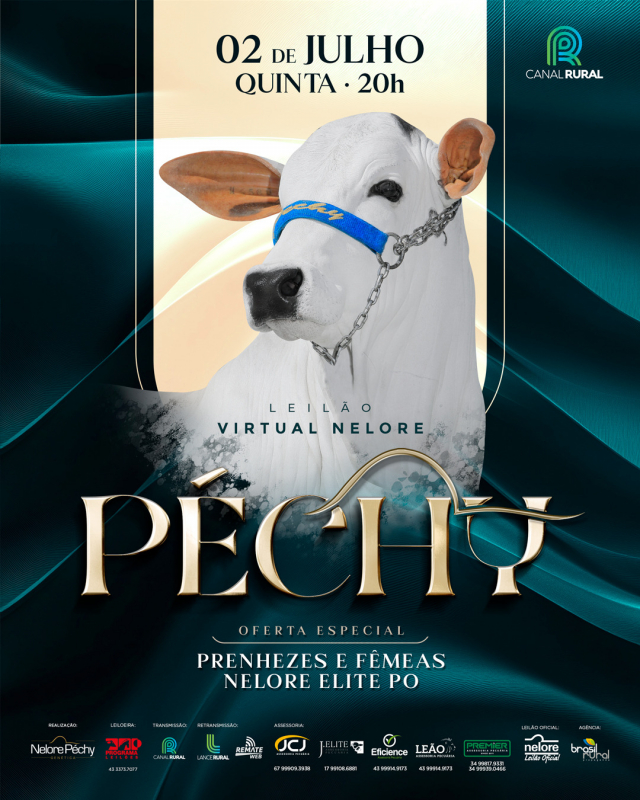 Leilão Virtual Nelore Péchy