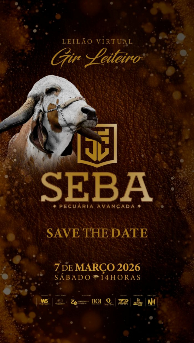 Leilão Virtual Gir Leiteiro JC Seba