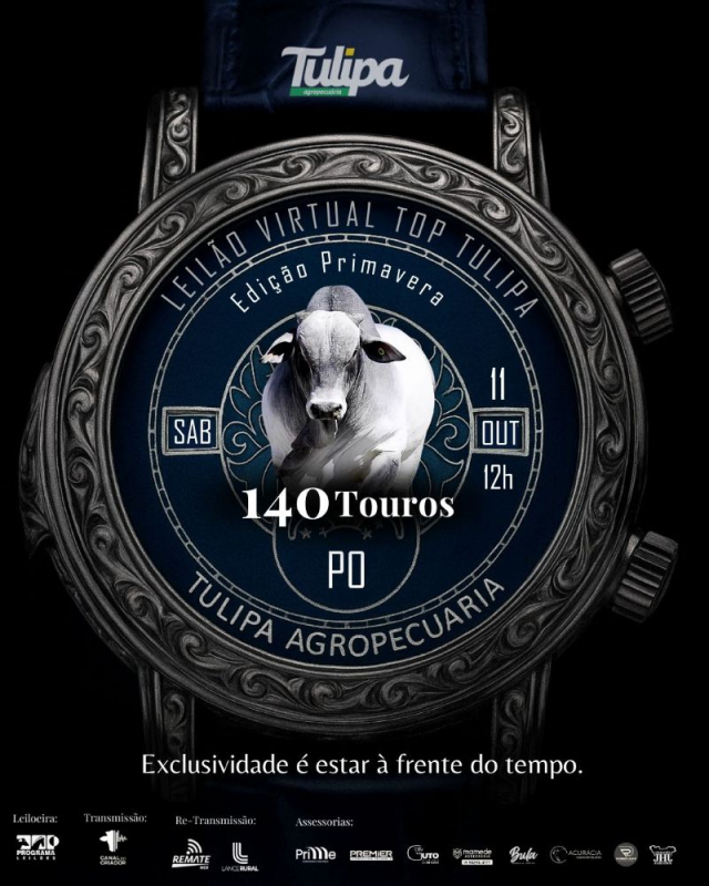 Leilão Virtual Top Tulipa - Edição Primavera