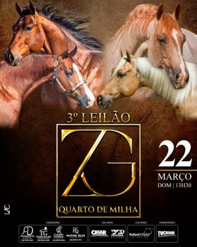 Leilão Virtual ZG Quarto de Milha