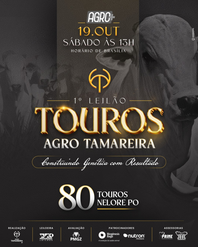 1° Leilão Virtual Touros Agro Tamareira