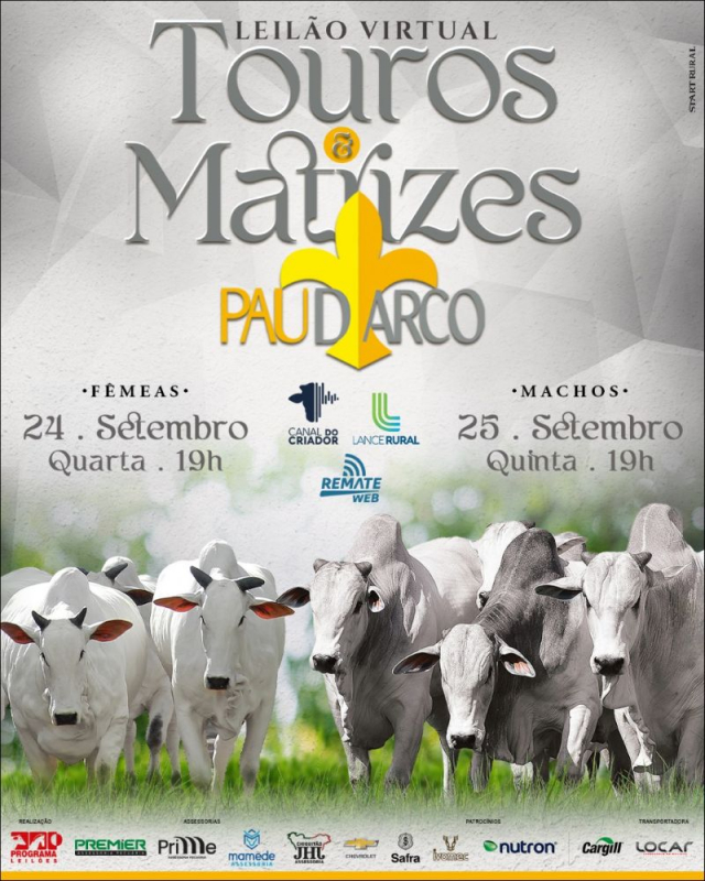 Leilão Virtual Touros e Matrizes Pau D'arco - Machos