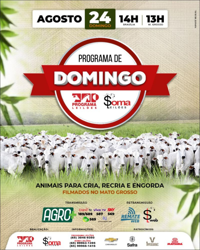 123º Programa de Domingo - Programa e Soma Leilões