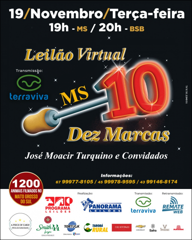 Leilão Virtual 10 Marcas MS