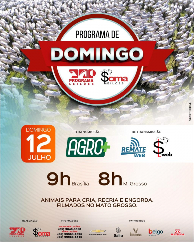 157° Programa de Domingo - Programa e Soma Leilões