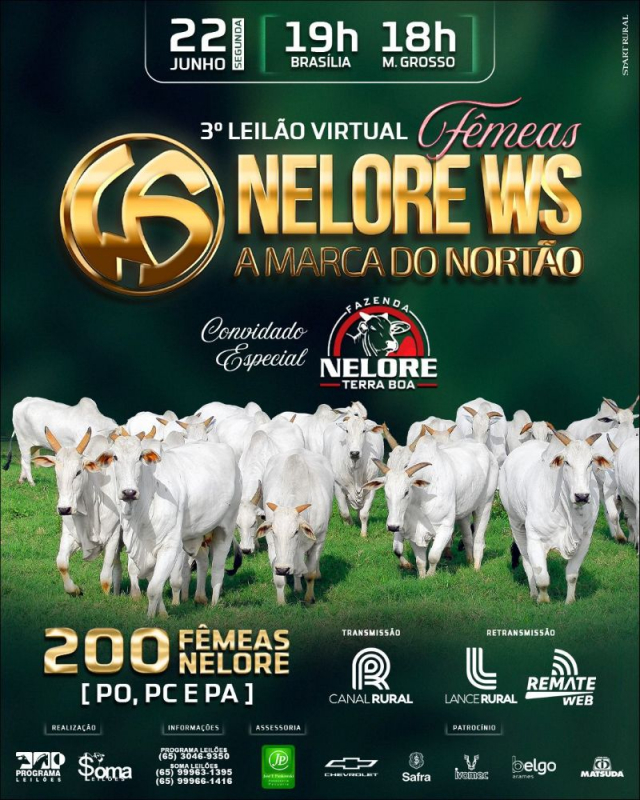 3º Leilão Virtual Fêmeas Nelore WS - A Marca do Nortão